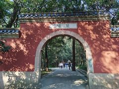 -灵谷景区