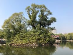 -仰山公园