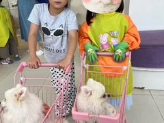 -怪兽屋·羊驼·猫咖·狗咖(俊华广场店)