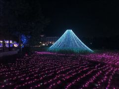 -安徽大青山野生动物世界