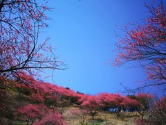 -溪口-滕头旅游景区