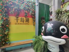 -千岛湖东南湖区