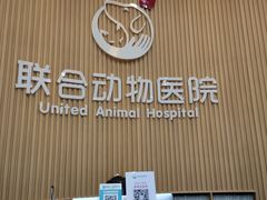 -联合动物医院(光谷诊疗中心)