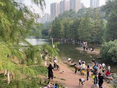 -重庆彩云湖湿地公园