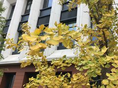 -星巴克(上海交通大学店)
