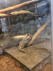 -Zoolung Zoolung动物主题公园(海信广场店)