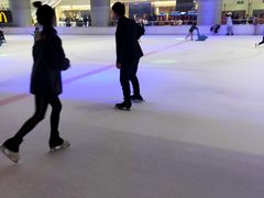 -TheRink大零溜冰场(IFS国金中心店)