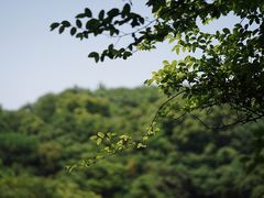 -桃花岛风景旅游区