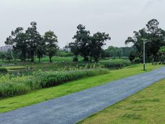 -两河城市森林公园