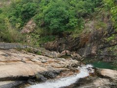 -广州白江湖森林公园