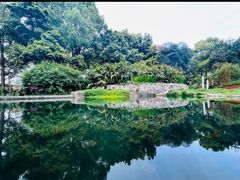-成都市活水公园