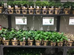 -鹿岛会员店 (龙湖三千集天街店)