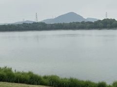 -羊山湖公园