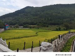 -万峰林风景区