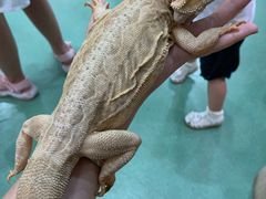 -藦茜花园宠物主题亲子互动体验馆(国顺东路店)