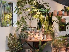 -自由生长植物工作室(深港花卉中心店)