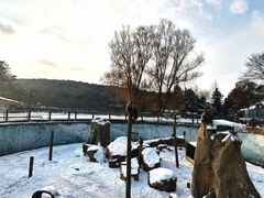 -沈阳森林动物园