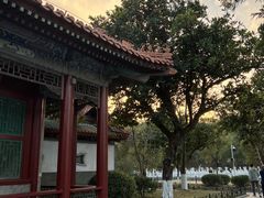 -珠海圆明新园