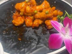 -前海沿·青岛菜(大拇指广场石老人店)