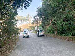 -田野绿世界