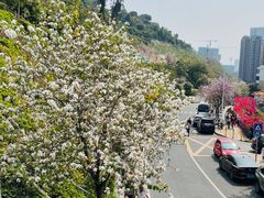 -小南山公园