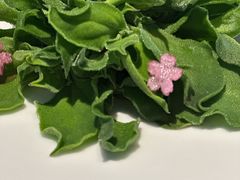 -大董(环贸iapm店)