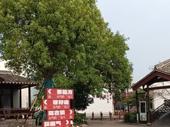 -鸣鹤古镇