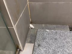 -西姆山居酒店(九寨沟沟口店)