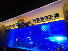 -成都浩海立方海洋公园