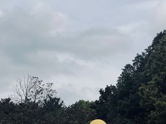 -杭州植物园