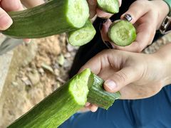 -火炉山森林公园