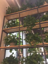 -曼都发型·臻选