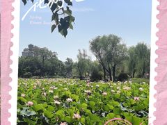 -渭滨公园