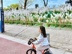 -咸阳湖景区-统一广场