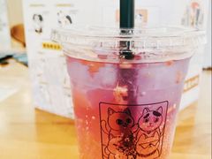 -猫小主咖啡·猫咖cat cafe(福田店)