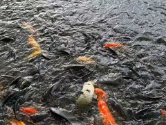 -民盈·国贸城
