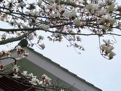 -无锡梅园公园