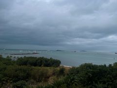 -龙泉人椰子鸡.糟粕醋.海南菜(三亚旗舰店)