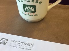 -广州百花山庄度假村(增城万达广场店)