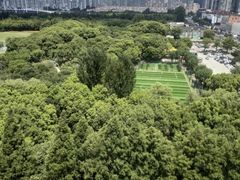 -黄兴公园