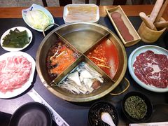 -沸炉重庆老火锅(军事博物馆店)