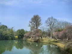 -西溪国家湿地公园