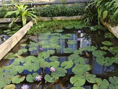 -国家植物园南园