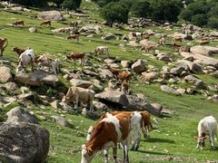 -克什克腾世界地质公园青山景区