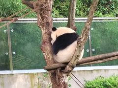 -黔灵山公园