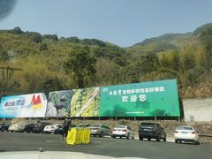 -宁波五龙潭景区