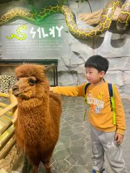 -Zoolung Zoolung动物主题公园(海信广场店)