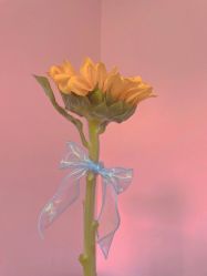 -Oasis Beauty水磨坊科技美肤中心