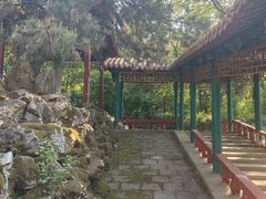 -高尔山公园