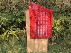 -棠湖公园